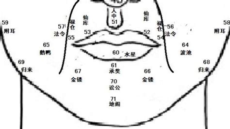 鼻孔面相|麦玲玲面相讲座之 鼻子 – 人相学